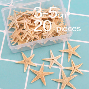 1 Box Natural Starfish Seashell Beach Craft Natural Sea Stars DIY Beach Wedding Decoration Crafts Home Decor Epoxy 1-5cm