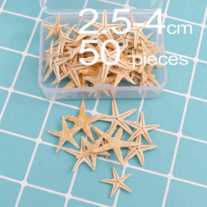 1 Box Natural Starfish Seashell Beach Craft Natural Sea Stars DIY Beach Wedding Decoration Crafts Home Decor Epoxy 1-5cm