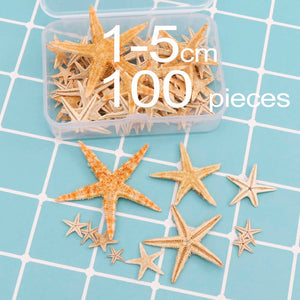 1 Box Natural Starfish Seashell Beach Craft Natural Sea Stars DIY Beach Wedding Decoration Crafts Home Decor Epoxy 1-5cm